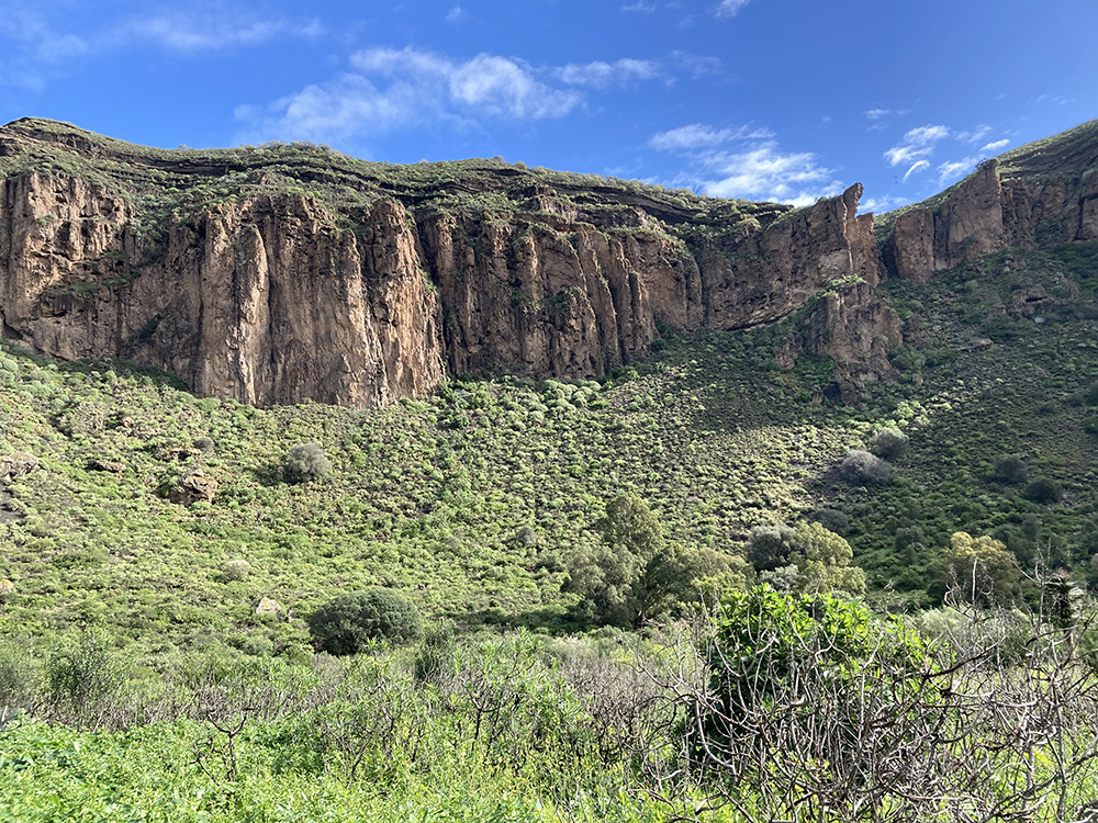 Wandern auf Gran Canaria zum Bandama Krater