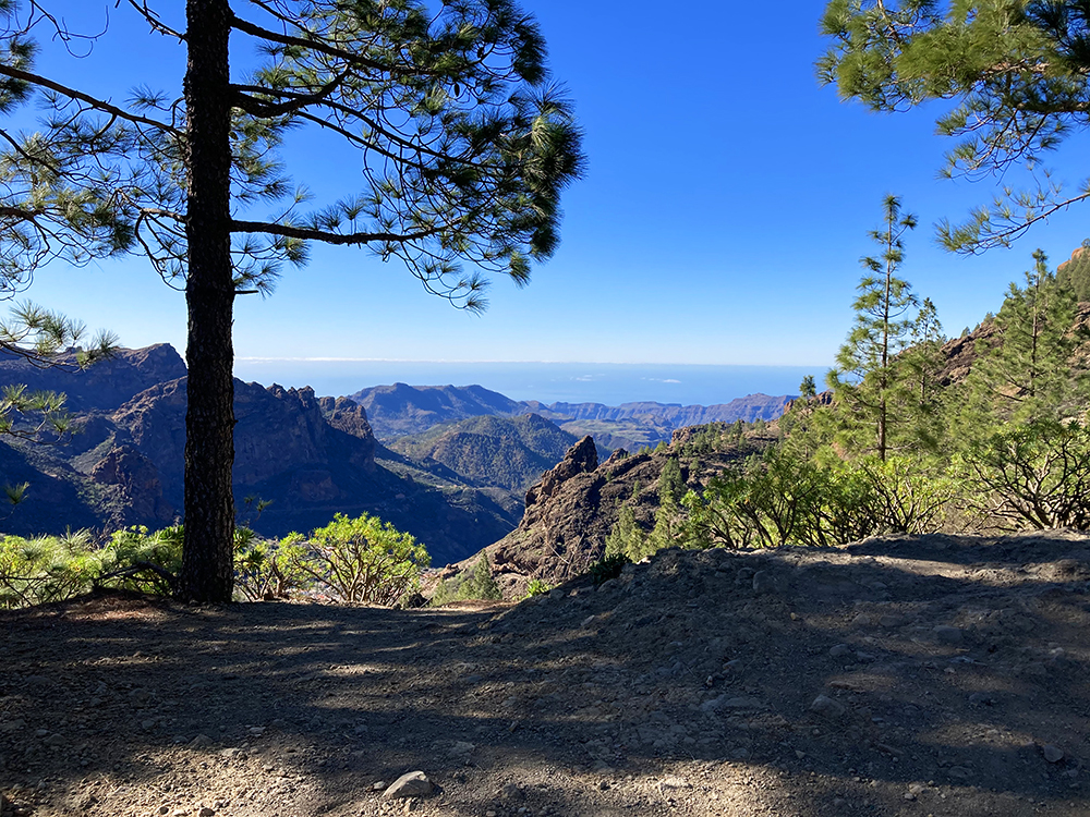 Wandern auf Gran Canaria mit einer Exklusiv Tour