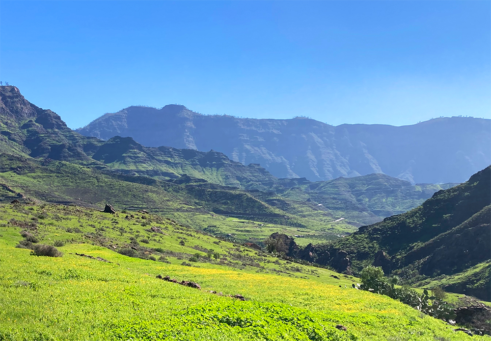 Wandern auf Gran Canaria in das Tal von Veneguera